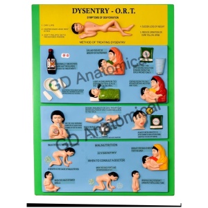 Dysentery - O.R.T.