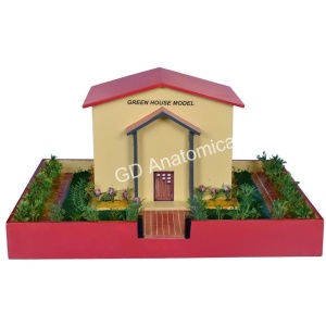Green House Model